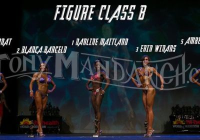 Figure Class B
