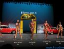 npc1113 bikini class a