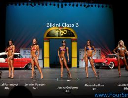 npc1113 bikini class b
