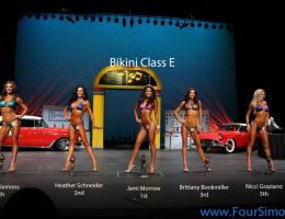 npc1113 bikini class e