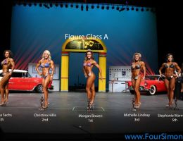 npc1113 figure class a