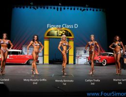 npc1113 figure class d