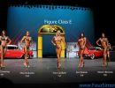 npc1113 figure class e