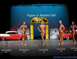 npc1113 figure jr. masters tall