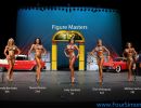 npc1113 figure masters