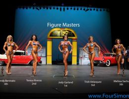 npc1113 figure masters