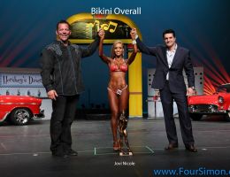 npc1113bikinioverall