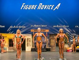  y5a5565 figure novice a