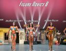  y5a5587 figure novice b