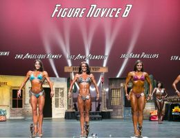  y5a5587 figure novice b