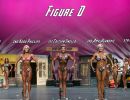  y5a5667 figure d