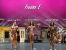  y5a5686 figure e