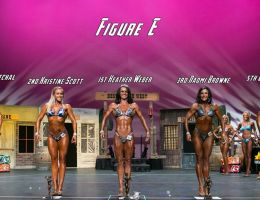  y5a5686 figure e