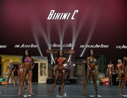  y5a7242 bikini c