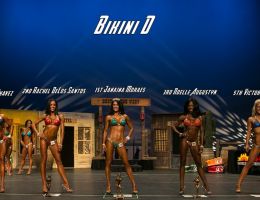  y5a7284 bikini d