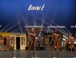  y5a7344 bikini e